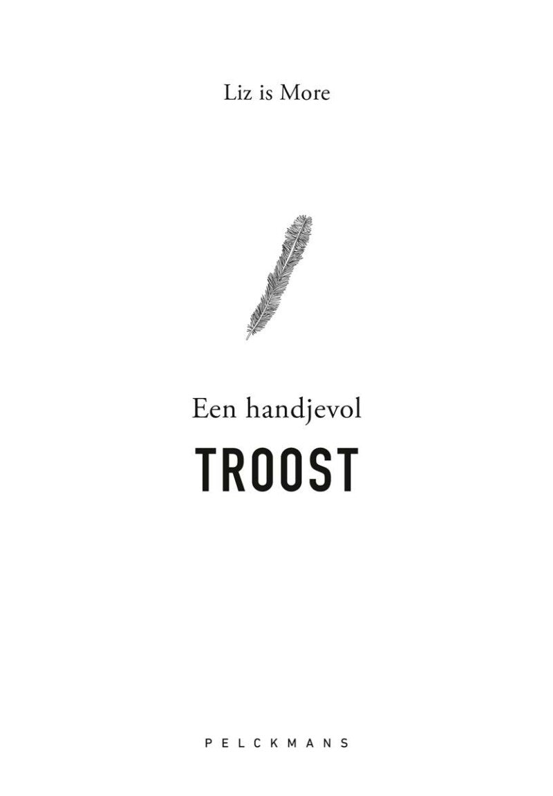Een handjevol troost