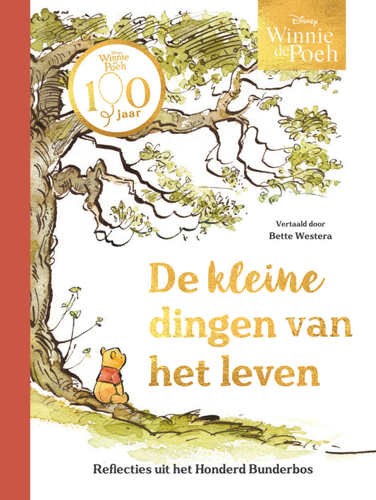 De kleine dingen van het leven